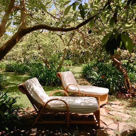 Homeforguest Rural House With Garden El Laurel Apartman Tacoronte