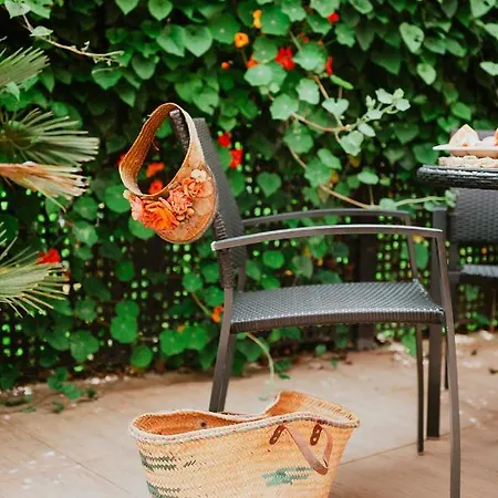 Apartment Homeforguest Rural House With Garden El Laurel