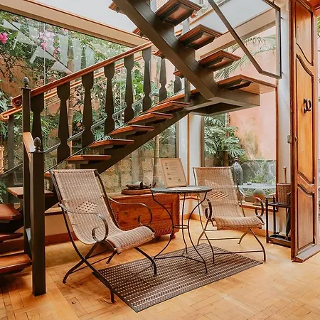 Apartment Homeforguest Rural House With Garden El Laurel Tacoronte