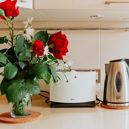 Apartment Homeforguest Rural House With Garden El Laurel Tacoronte