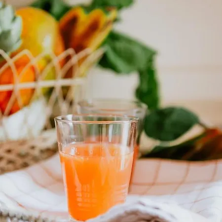 Homeforguest Rural House With Garden El Laurel Apartment *