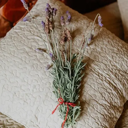 Homeforguest Rural House With Garden El Laurel Apartment Tacoronte