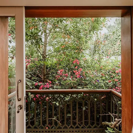 Homeforguest Rural House With Garden El Laurel Apartment *