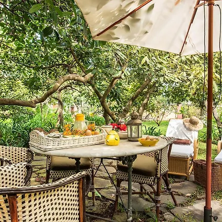 Apartment Homeforguest Rural House With Garden El Laurel Tacoronte