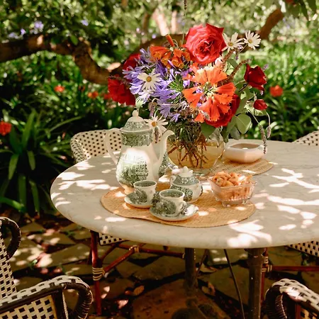 Apartment Homeforguest Rural House With Garden El Laurel Tacoronte