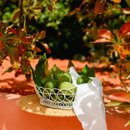 Homeforguest Rural House With Garden El Laurel